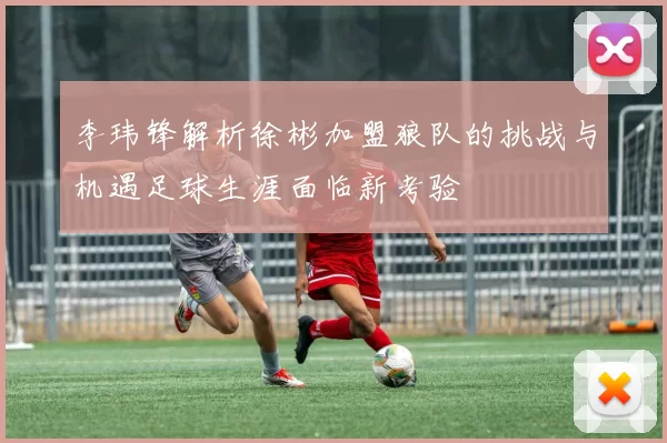 李玮锋解析徐彬加盟狼队的挑战与机遇足球生涯面临新考验